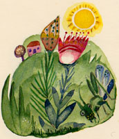 (image : Amande In)
